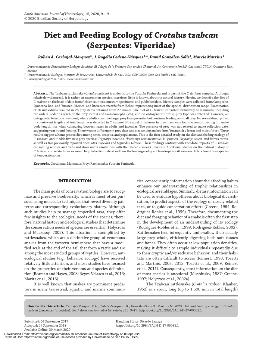 Pdf Diet And Feeding Ecology Of Crotalus Tzabcan Serpentes Viperidae