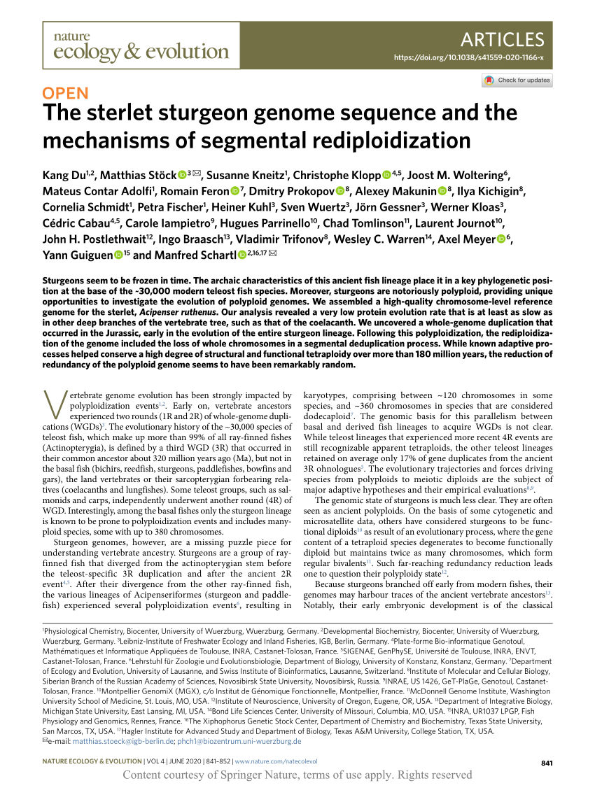 PDF) The sterlet sturgeon genome sequence and the mechanisms of