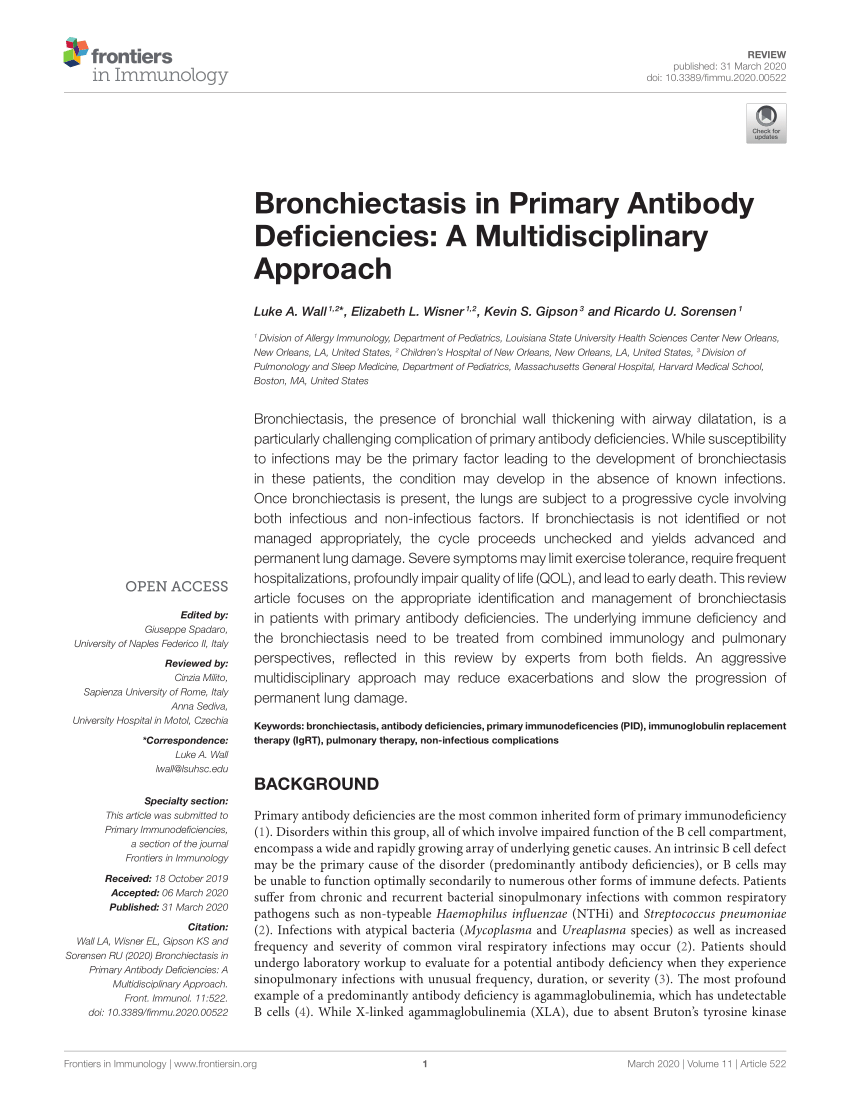 PDF Bronchiectasis in Primary Antibody Deficiencies A