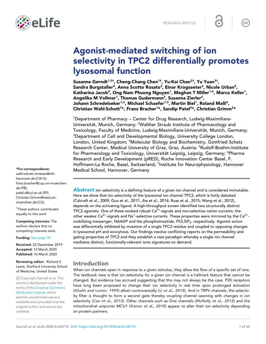 PDF) Agonist-mediated switching of ion selectivity in TPC2 ...