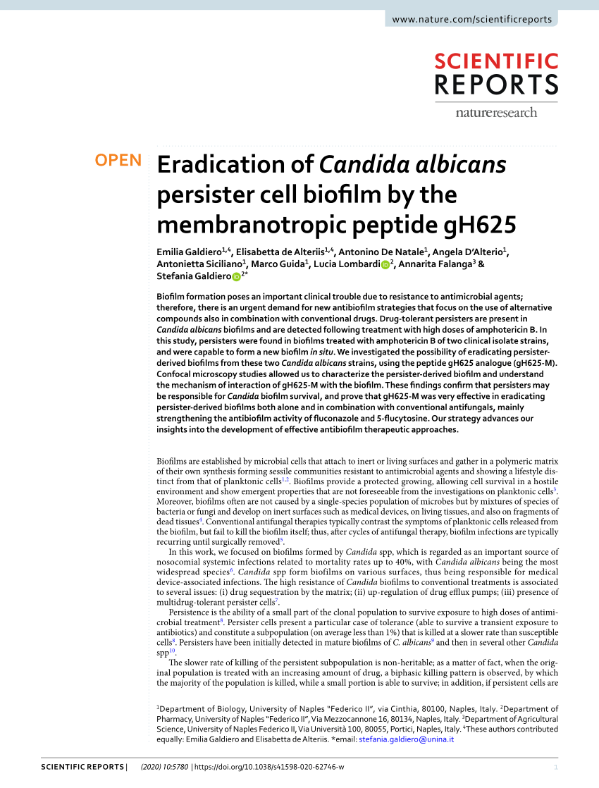 Immagini Natale 400 X 150 Pixel.Pdf Eradication Of Candida Albicans Persister Cell Biofilm By The Membranotropic Peptide Gh625