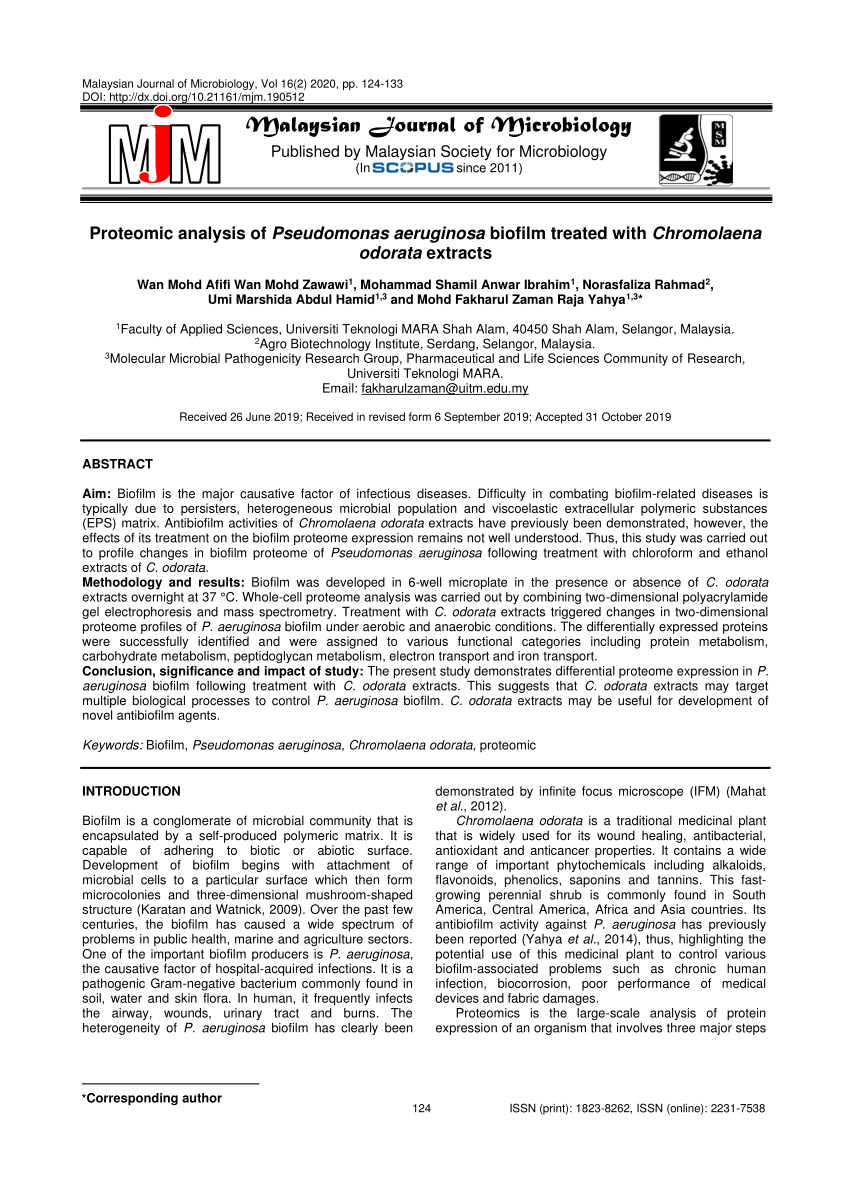 Pdf Proteomic Analysis Of Pseudomonas Aeruginosa Biofilm Treated With Chromolaena Odorata Extracts - 385948 roblox profile