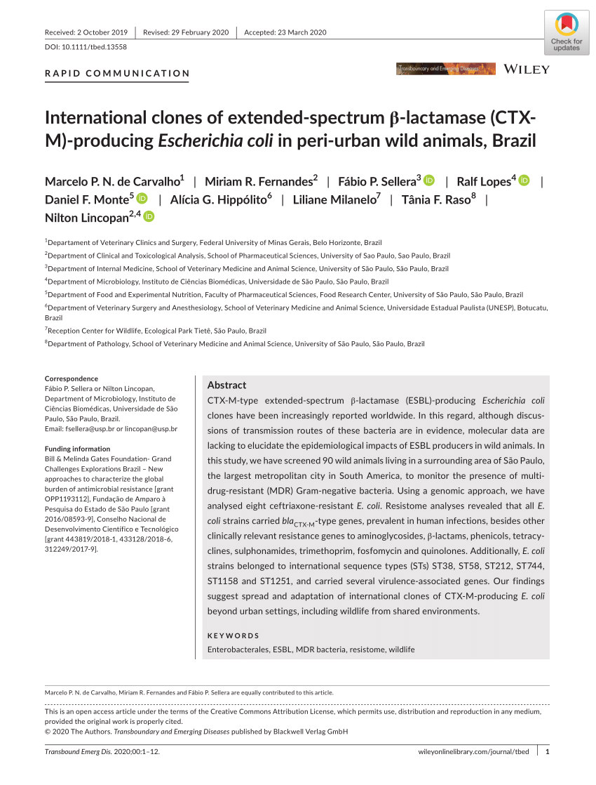 Pdf International Clones Of Extended Spectrum B Lactamase Ctx M Producing Escherichia Coli In Peri Urban Wild Animals Brazil