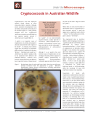 Preview image for Cryptococcosis in Australian Wildlife