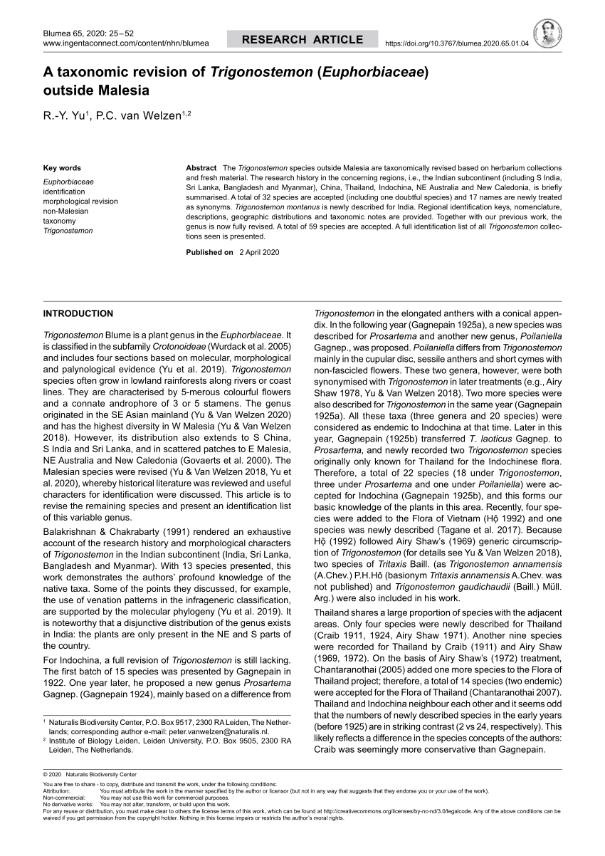 PDF) A taxonomic revision of Trigonostemon (Euphorbiaceae) outside 