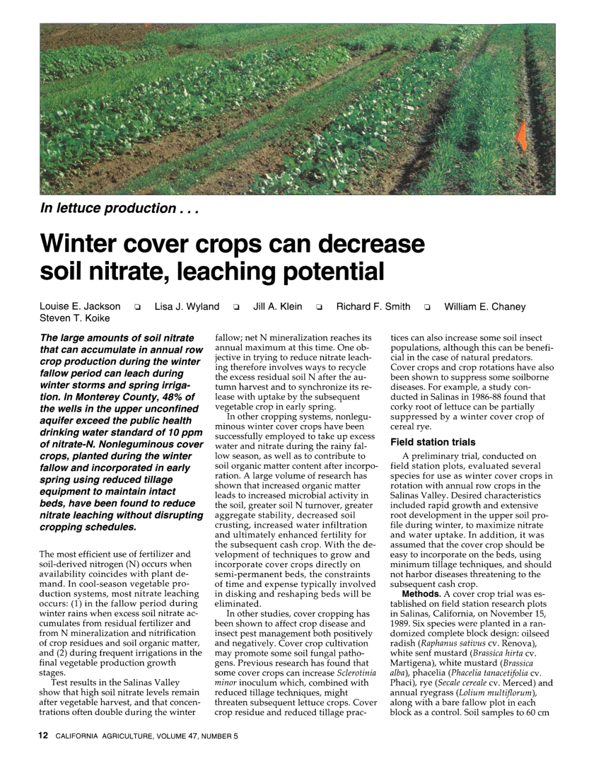 PDF) Allelopathic potential of winter and summer cover crops on