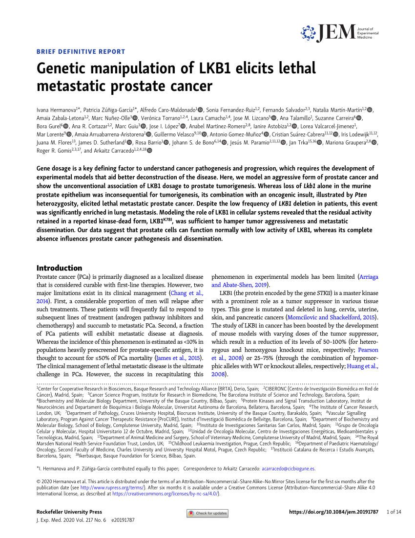 PDF) Genetic manipulation of LKB1 elicits lethal metastatic prostate cancer