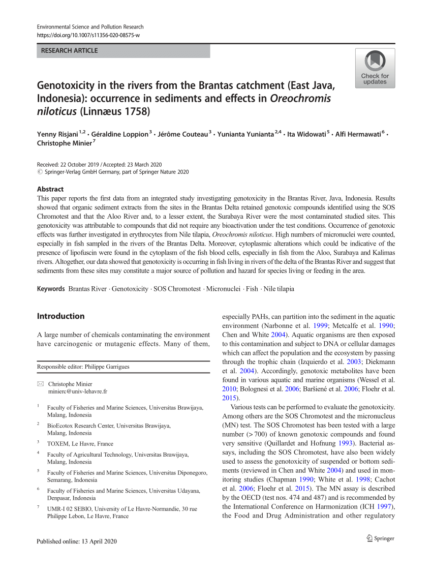 Pdf Genotoxicity In The Rivers From The Brantas Catchment East Java Indonesia Occurrence In Sediments And Effects In Oreochromis Niloticus Linnaeus 1758