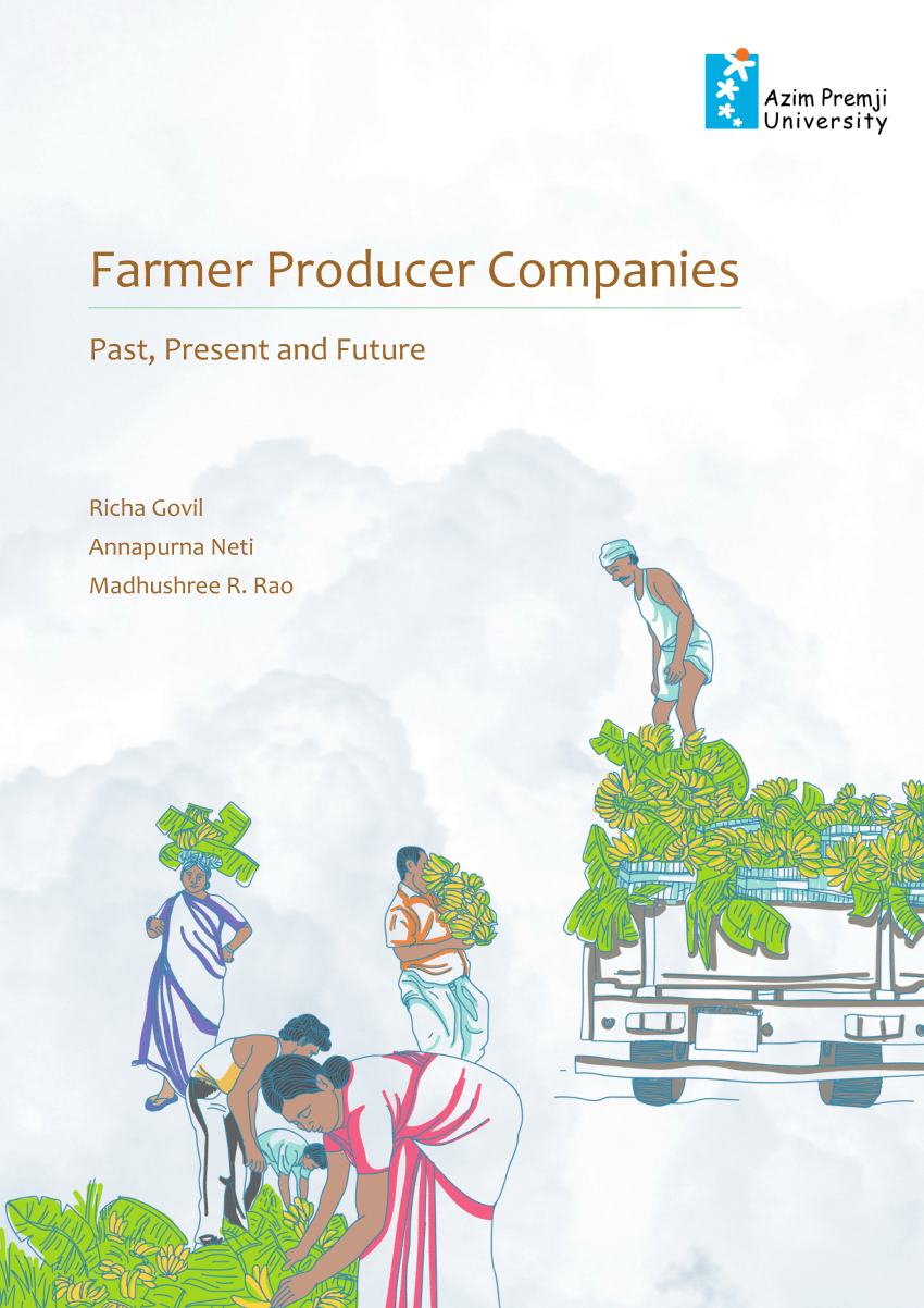 thesis on farmer producer company