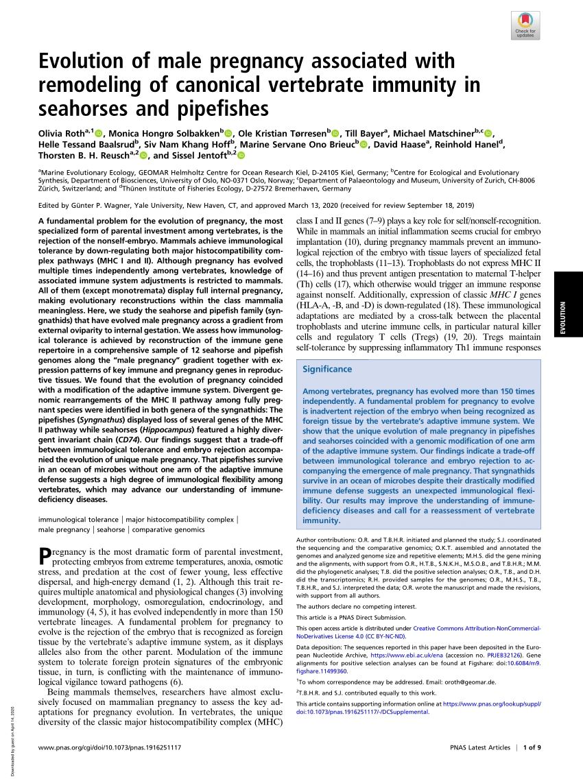 (PDF) Evolution of male pregnancy associated with remodeling of