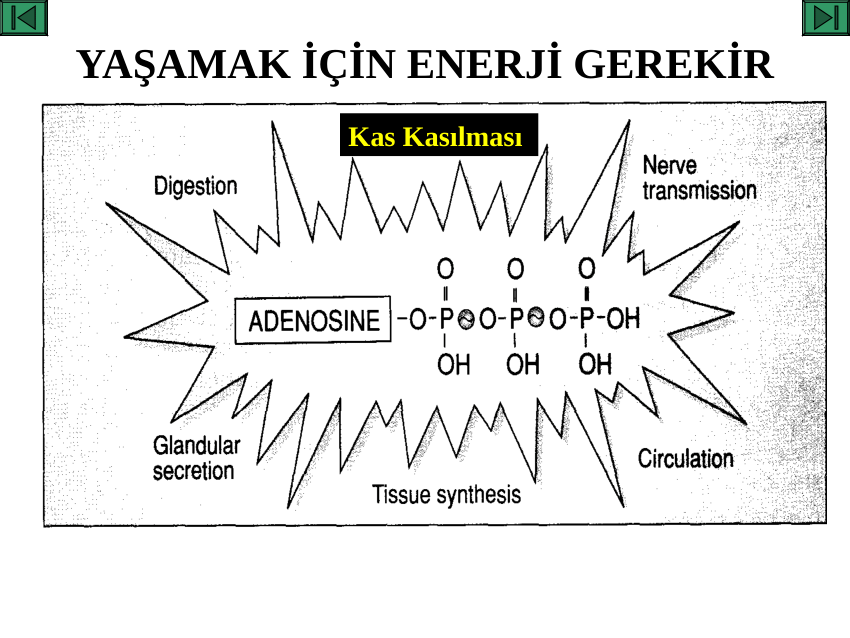 çocuklar için glikoliz