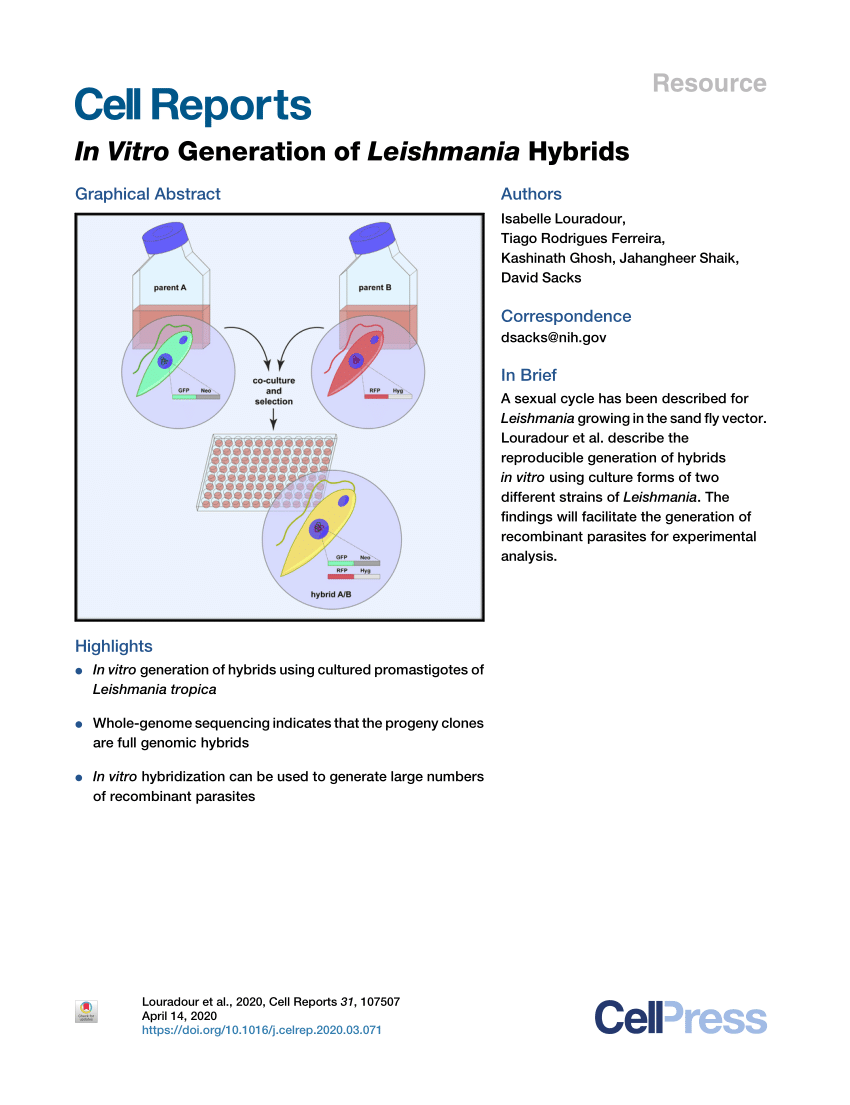 Pdf In Vitro Generation Of Leishmania Hybrids