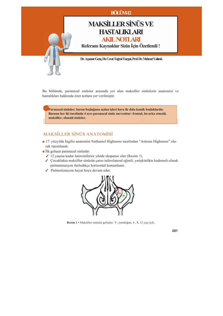 pdf maksiller sinus ve hastaliklari akil notlari bolum 12
