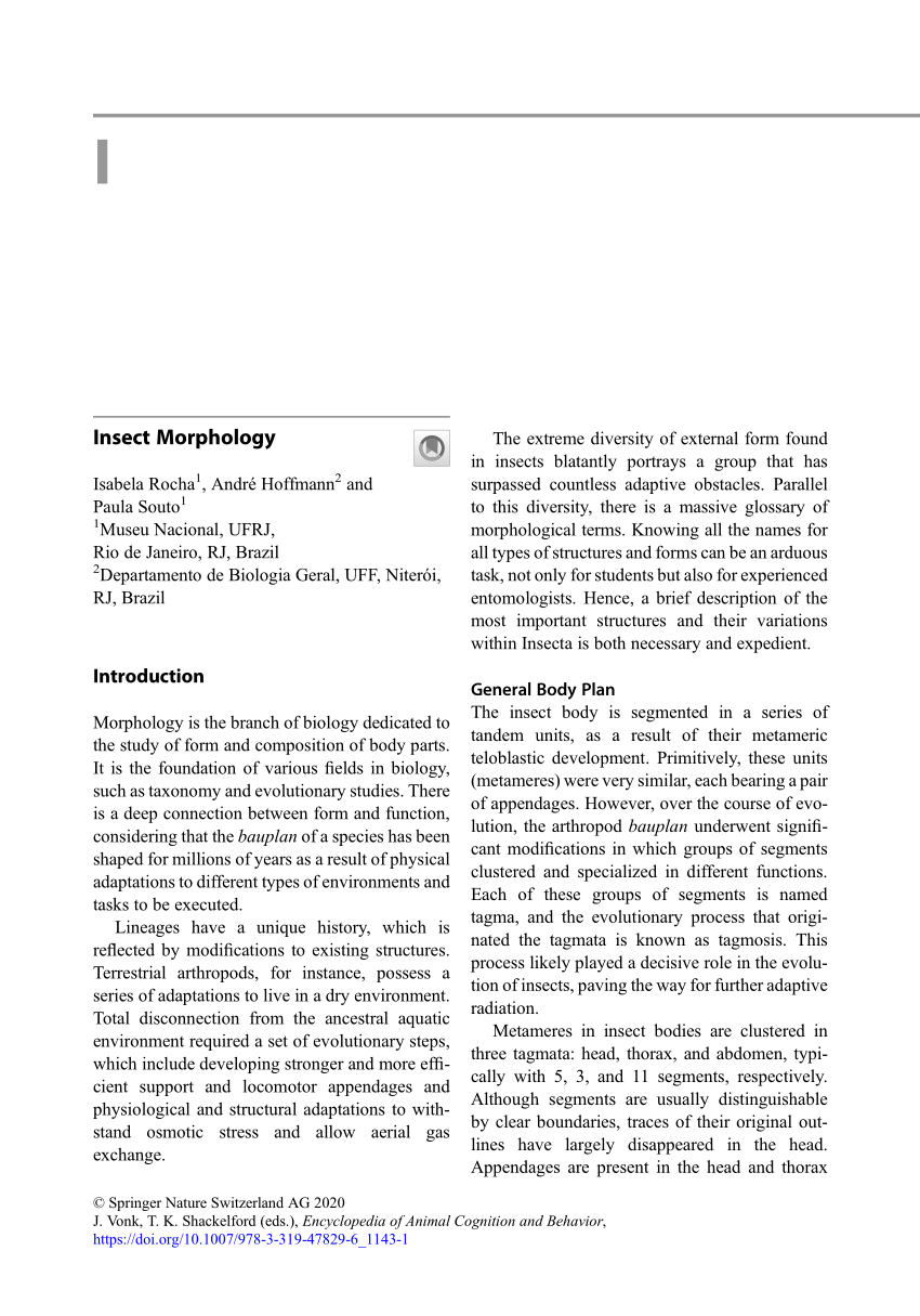 PDF) Insect Morphology
