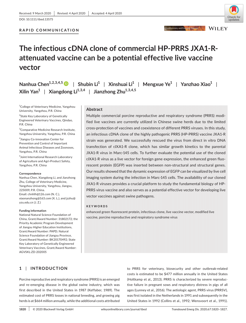 Pdf The Infectious Cdna Clone Of Commercial Hp Prrs Jxa1 R Attenuated Vaccine Can Be A Potential Effective Live Vaccine Vector