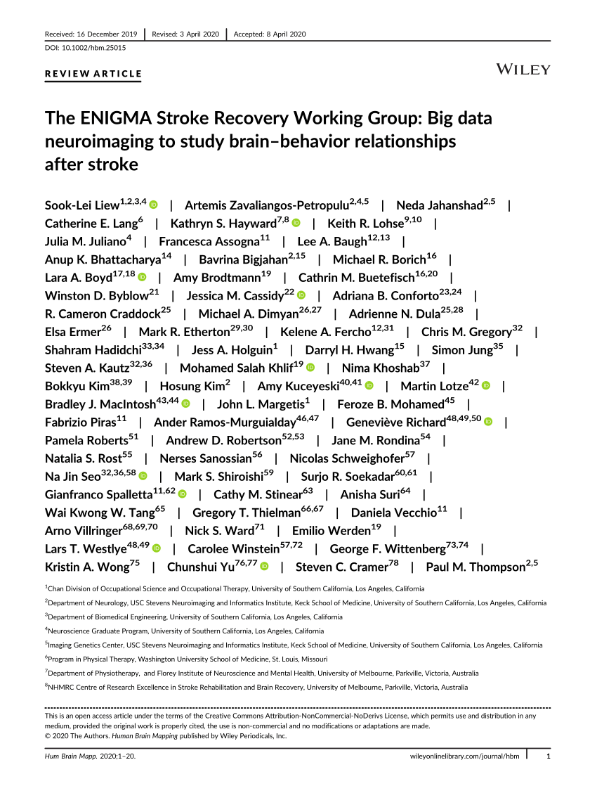 PDF) The ENIGMA Stroke Recovery Working Group: Big data ...