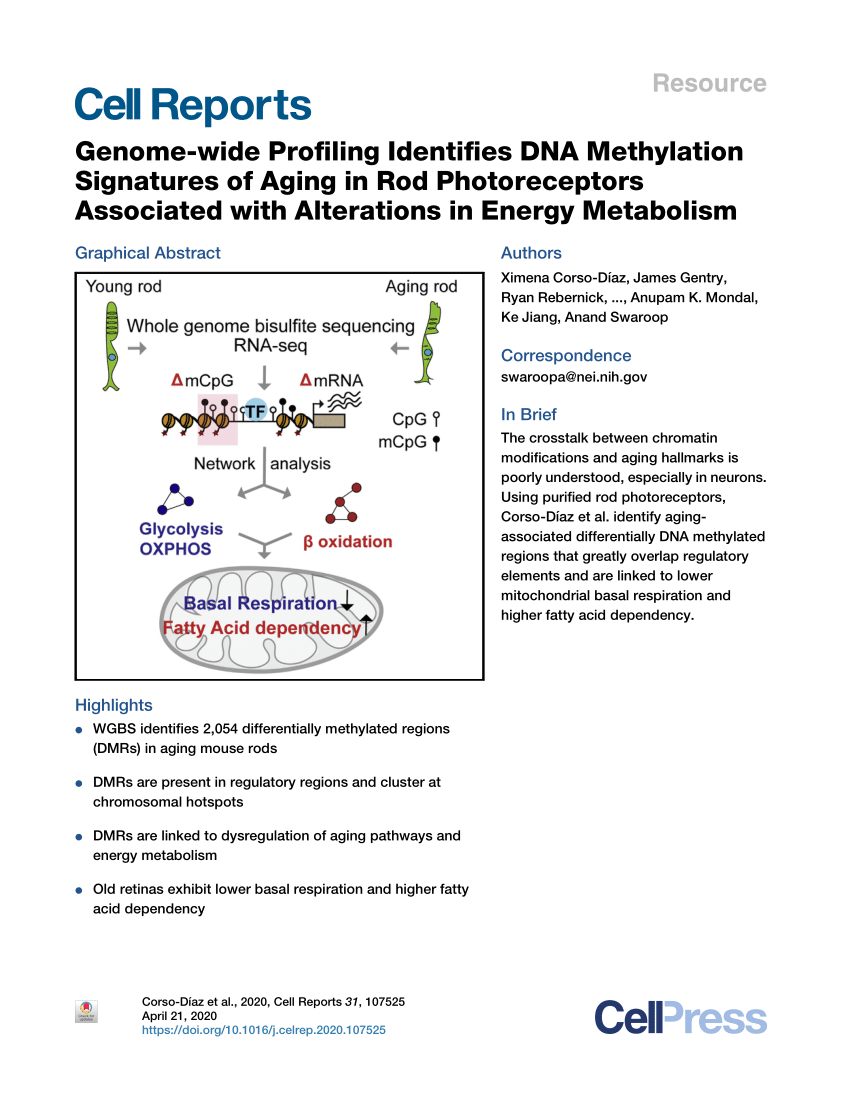 Pdf Genome Wide Profiling Identifies Dna Methylation Signatures Of Aging In Rod Photoreceptors Associated With Alterations In Energy Metabolism