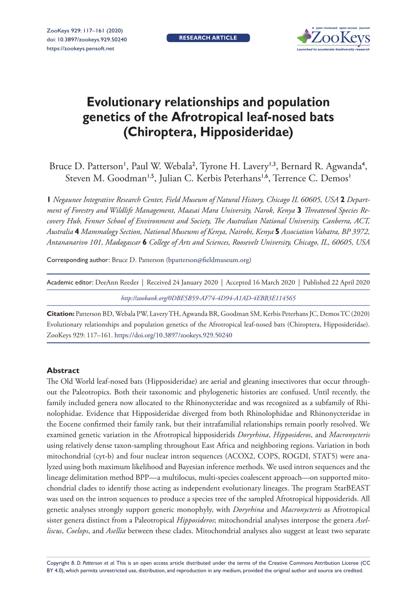 PDF) Evolutionary relationships and population genetics of the Afrotropical leaf-nosed bats (Chiroptera, Hipposideridae) foto imagem