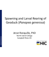 Preview image for Spawning and Larval Rearing of Geoduck (Panopea generosa)