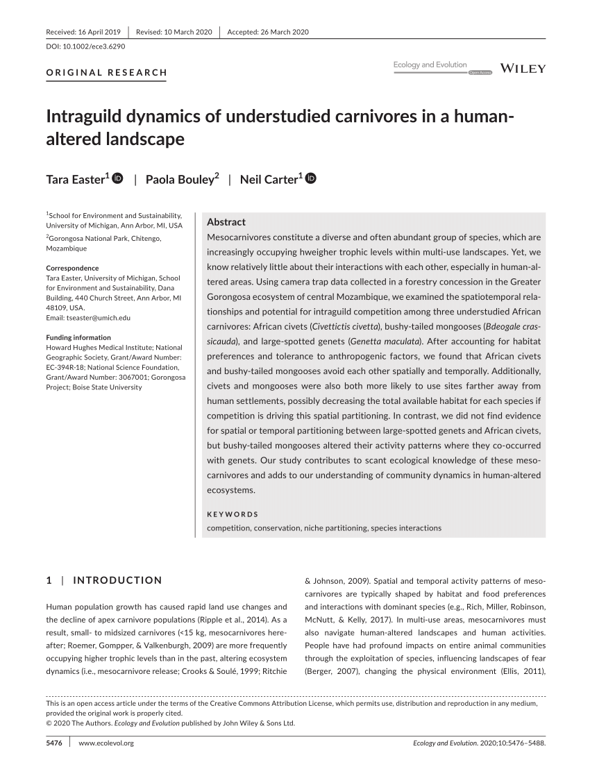 PDF) Intraguild dynamics of understudied carnivores in a human‐altered  landscape