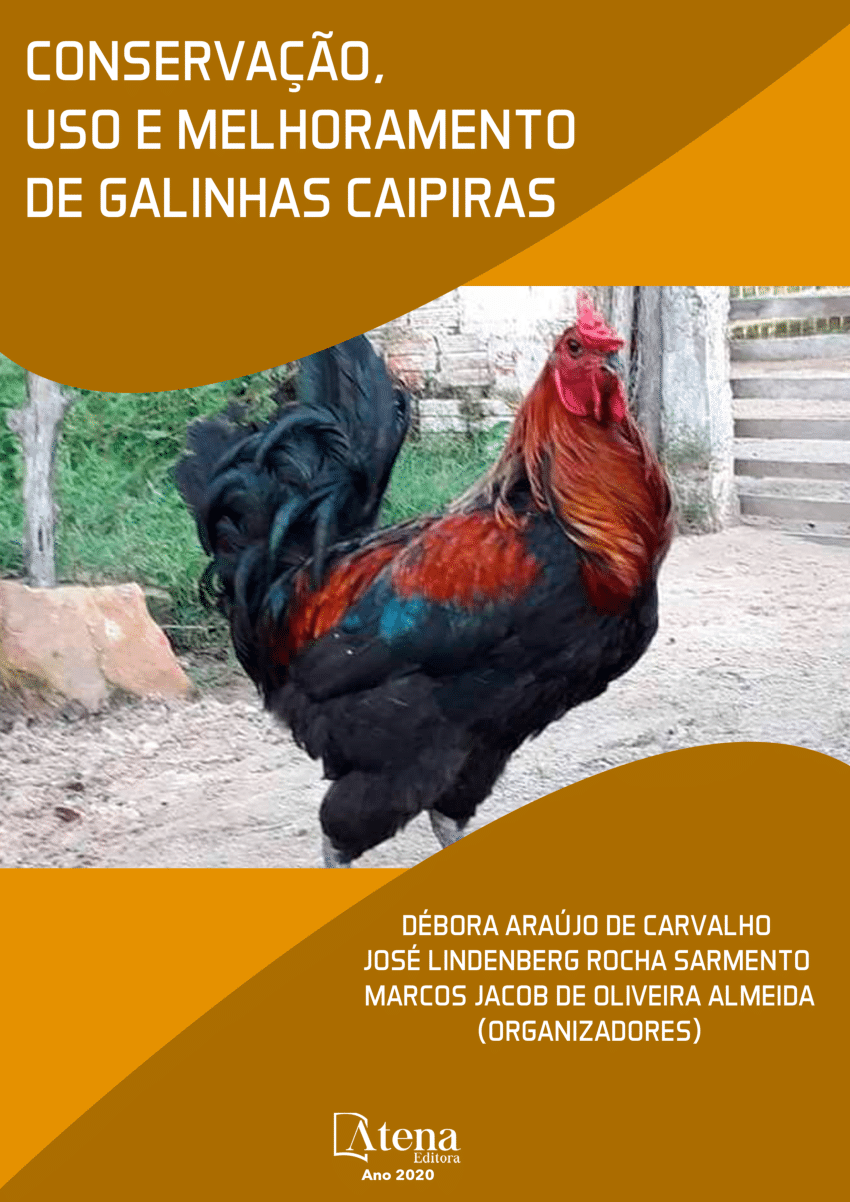 Chicken Evolution: Galinhas – Apps no Google Play