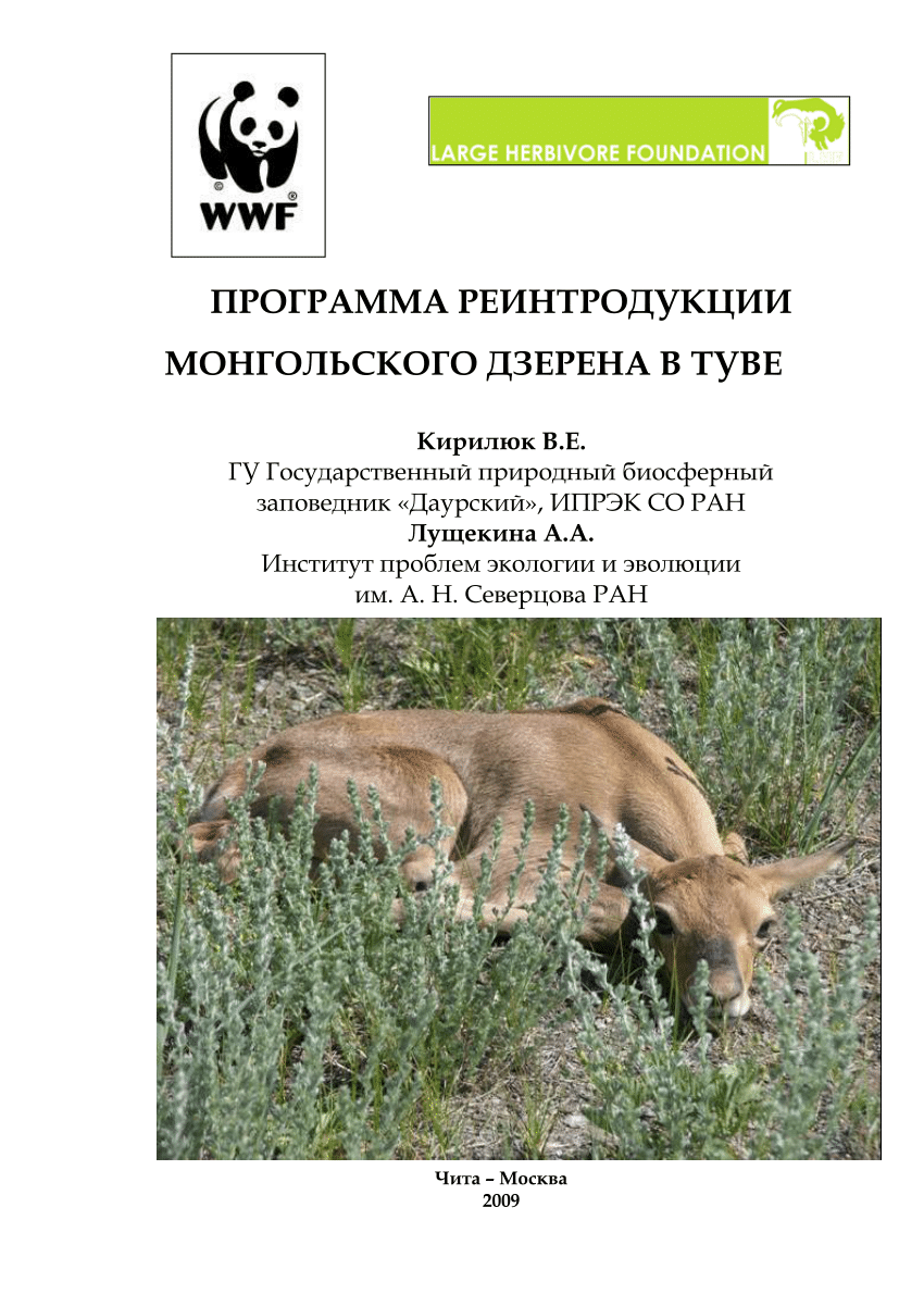 PDF) Reintroduction Program of the Mongolian gazelle in Tuva