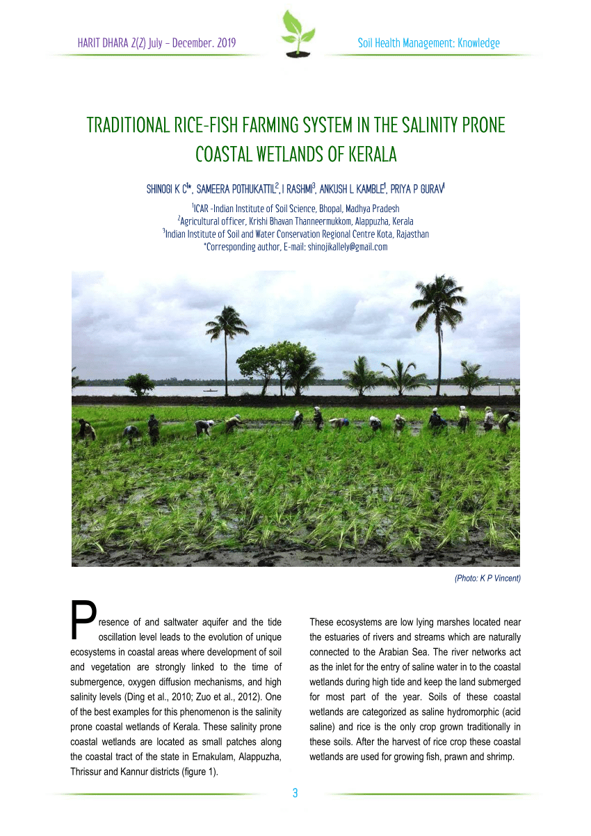 PDF) TRADITIONAL RICE-FISH FARMING SYSTEM IN THE SALINITY PRONE