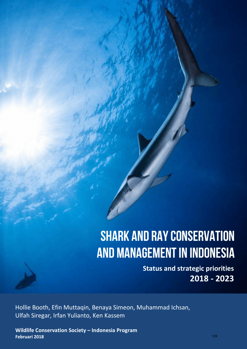 Pdf Shark And Ray Conservation And Management In Indonesia Status And Strategic Priorities 2018 2023