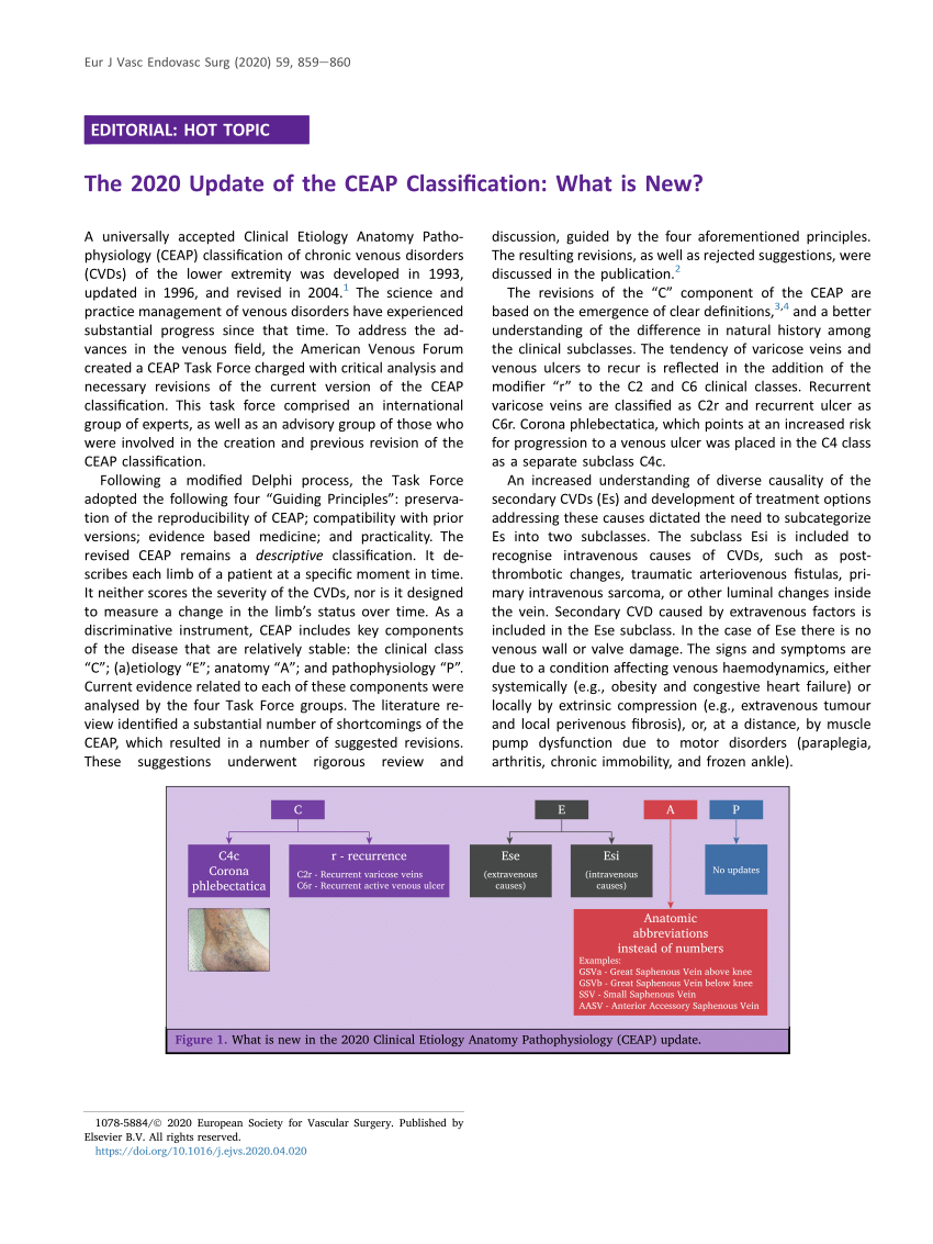 (PDF) The 2020 Update of the CEAP Classification: What is New?