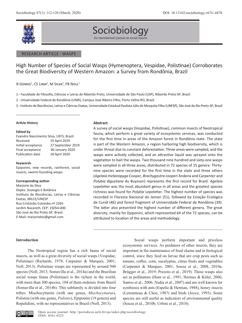 PDF) As vespas que caçam com seus dentes: Artefatos multiespécies, ritual e  relações entre humanos e não humanos entre os Karitiana (Rondônia)