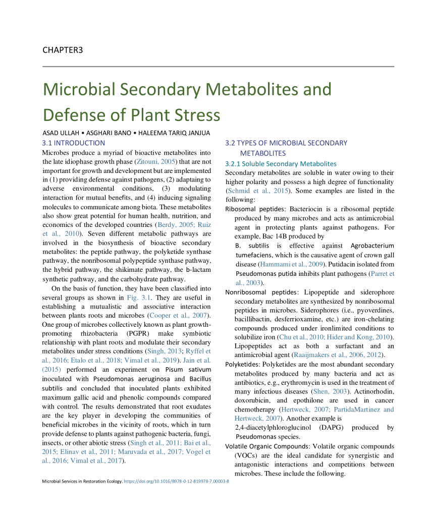 research papers on secondary metabolites