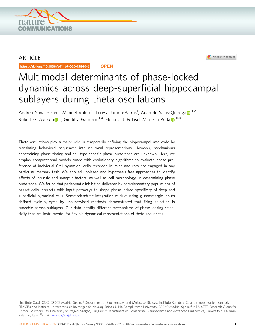 PDF) Multimodal determinants of phase-locked dynamics across deep ...