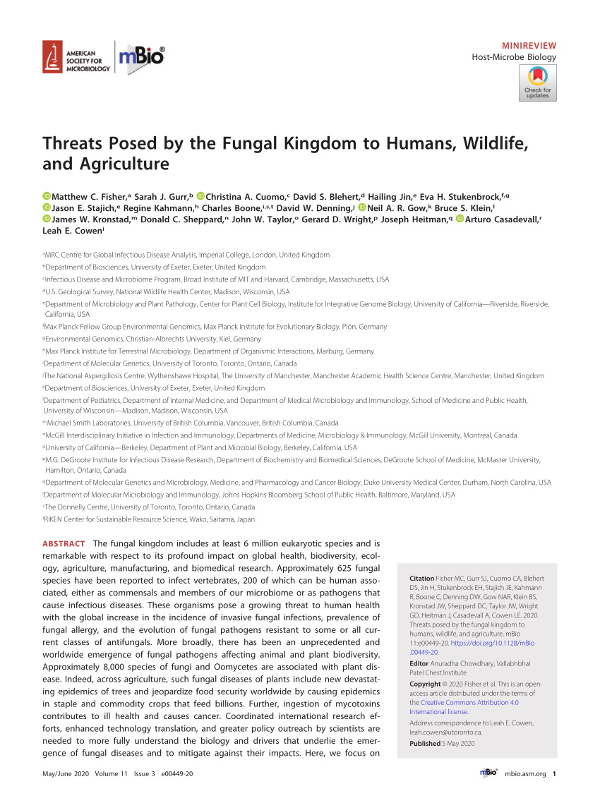 (PDF) Threats Posed by the Fungal Kingdom to Humans, Wildlife, and  Agriculture