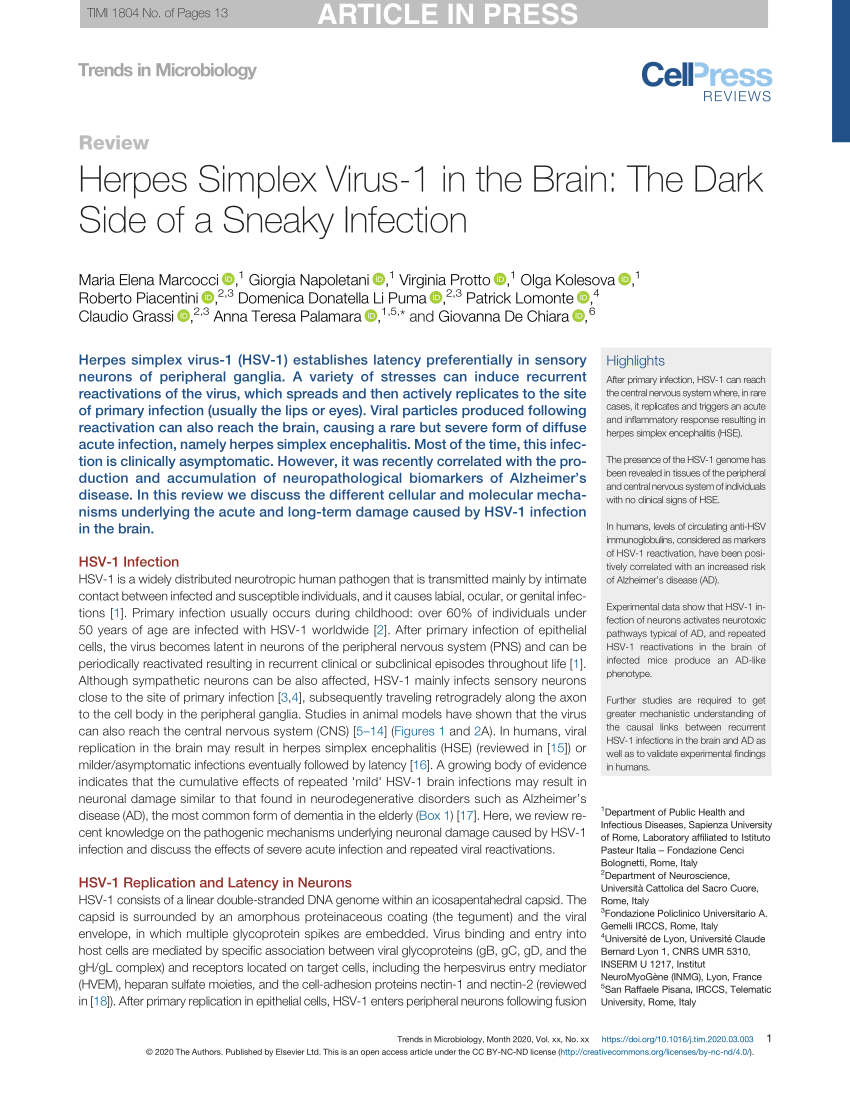 Herpes Simplex Virus-1 in the Brain: The Dark Side of a Sneaky Infection:  Trends in Microbiology