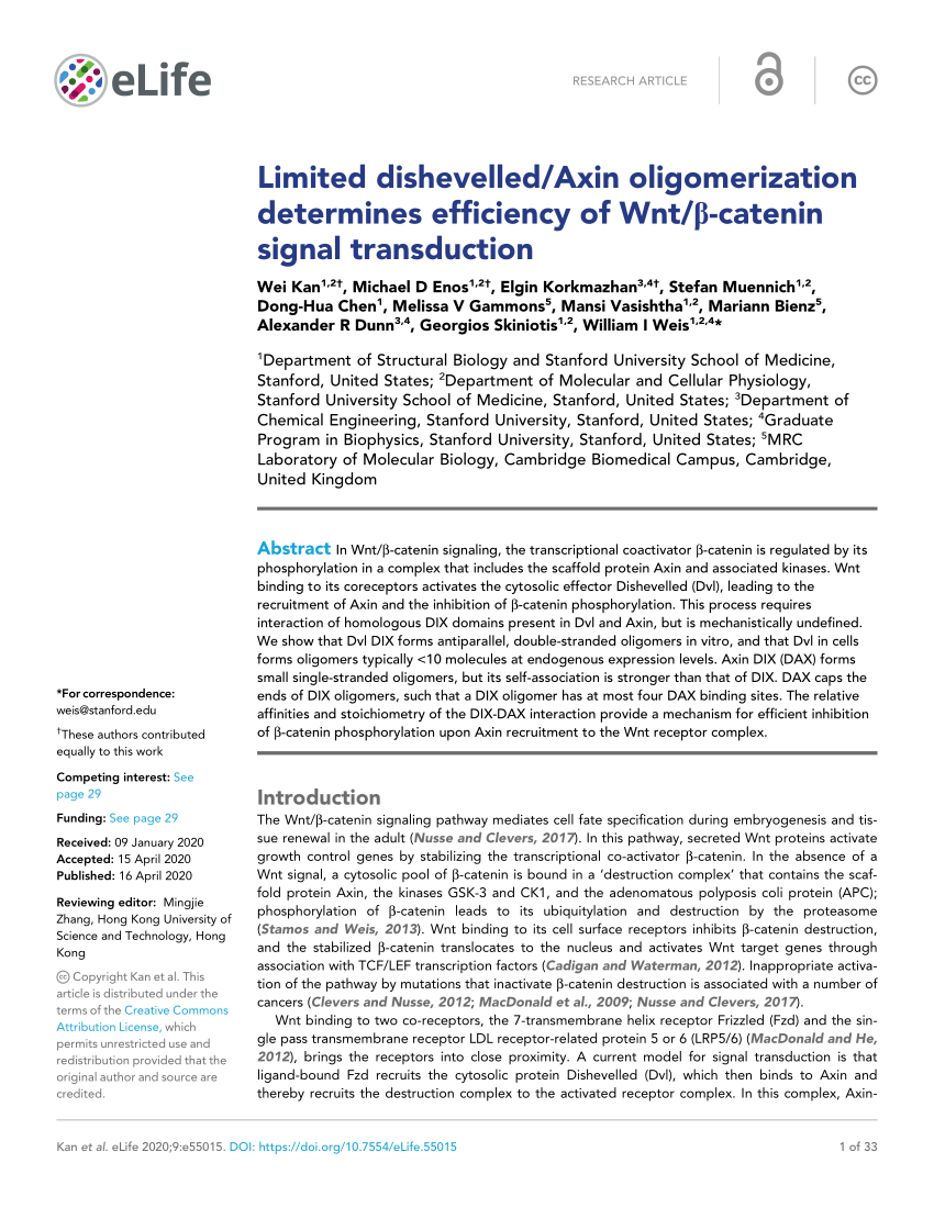 PDF) Limited dishevelled/Axin oligomerization determines 