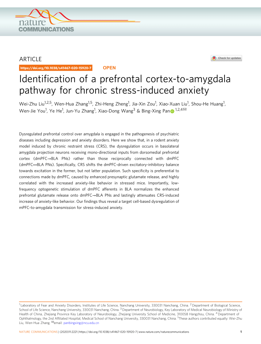 PDF) Identification of a prefrontal cortex-to-amygdala pathway for