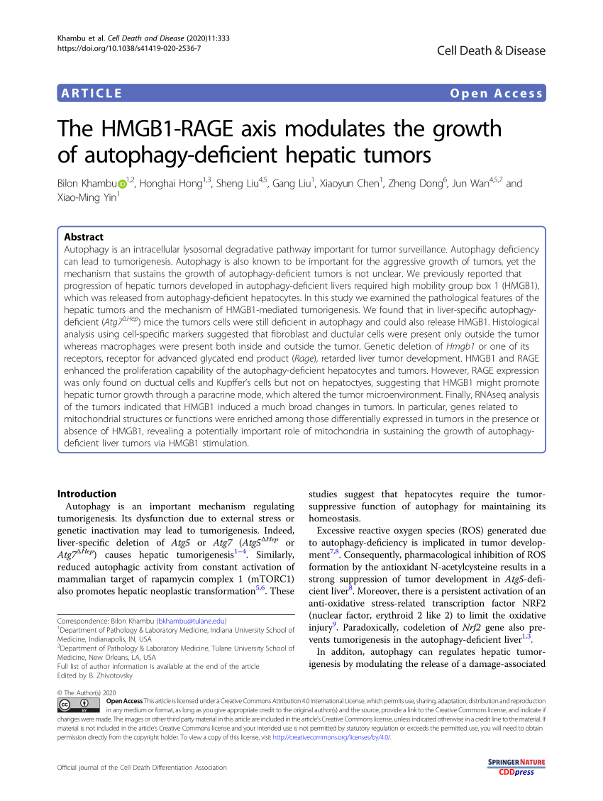 PDF) The HMGB1-RAGE axis modulates the growth of autophagy ...