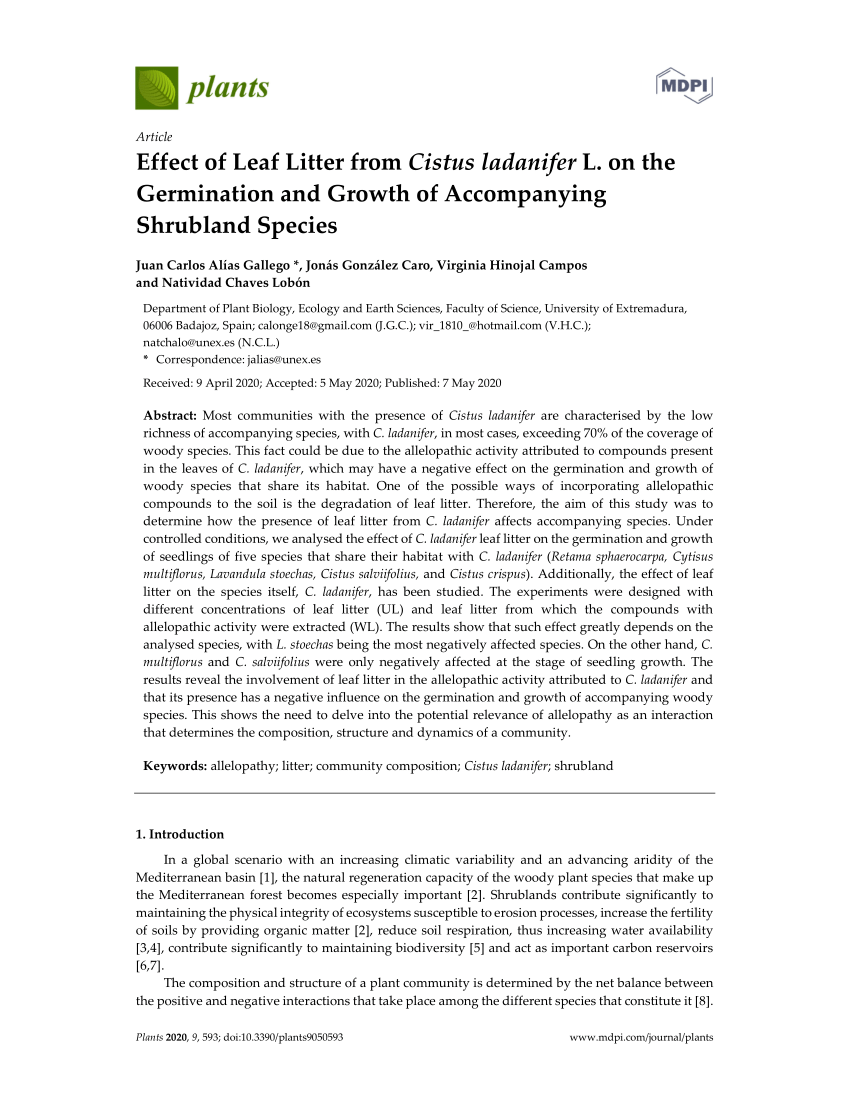 Pdf Effect Of Leaf Litter From Cistus Ladanifer L On The Germination And Growth Of Accompanying Shrubland Species