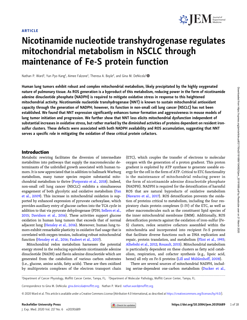 PDF) Nicotinamide nucleotide transhydrogenase regulates 