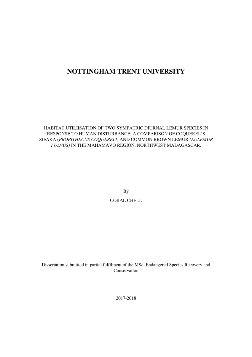 msc thesis about