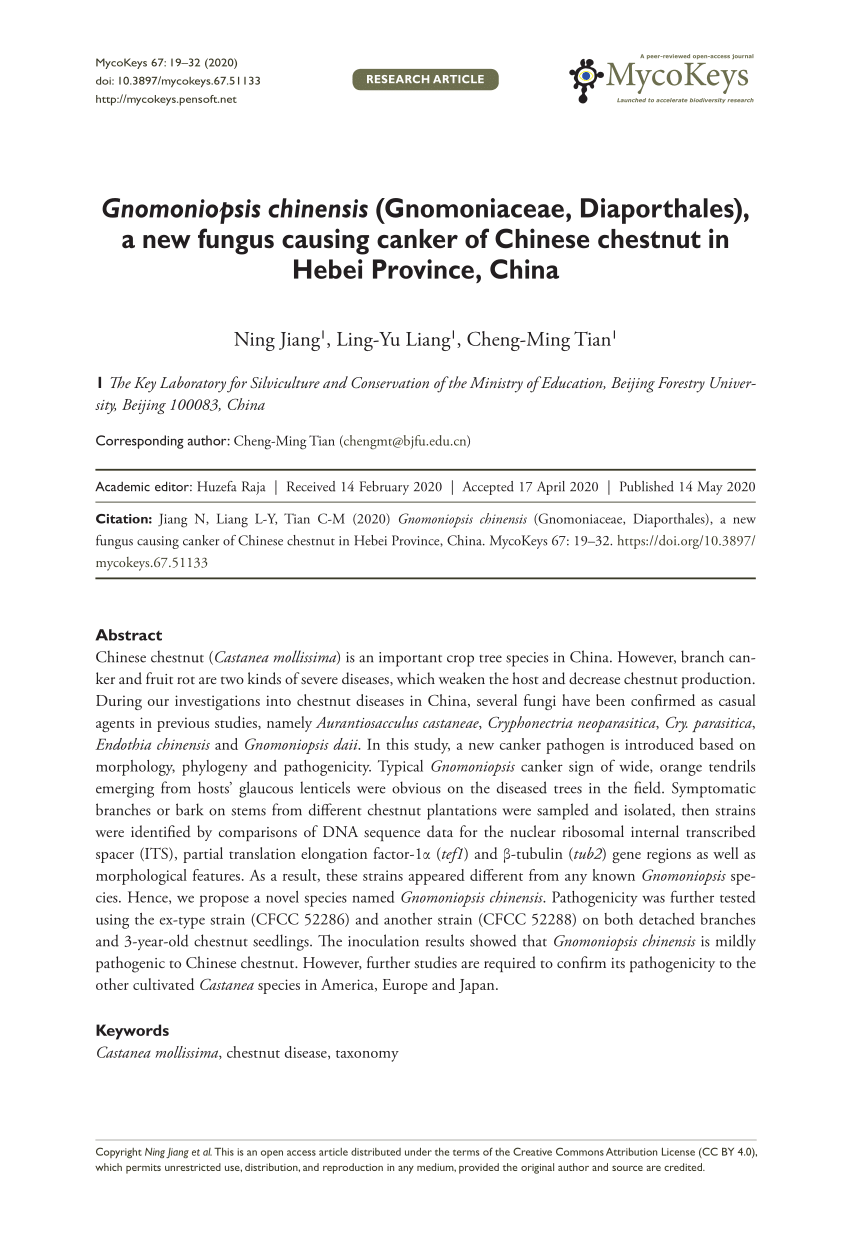 PDF) Gnomoniopsis chinensis (Gnomoniaceae, Diaporthales), a new 