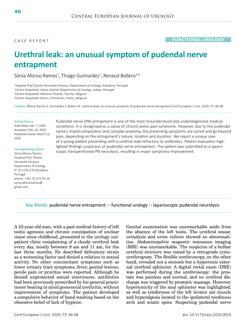 Pudendal Nerve Entrapment Syndrome: Clinical Aspects and Laparoscopic  Management