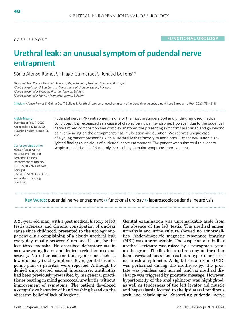 https://i1.rgstatic.net/publication/341355750_Urethral_leak_an_unusual_symptom_of_pudendal_nerve_entrapment/links/5ebc234e458515626ca7d4cc/largepreview.png