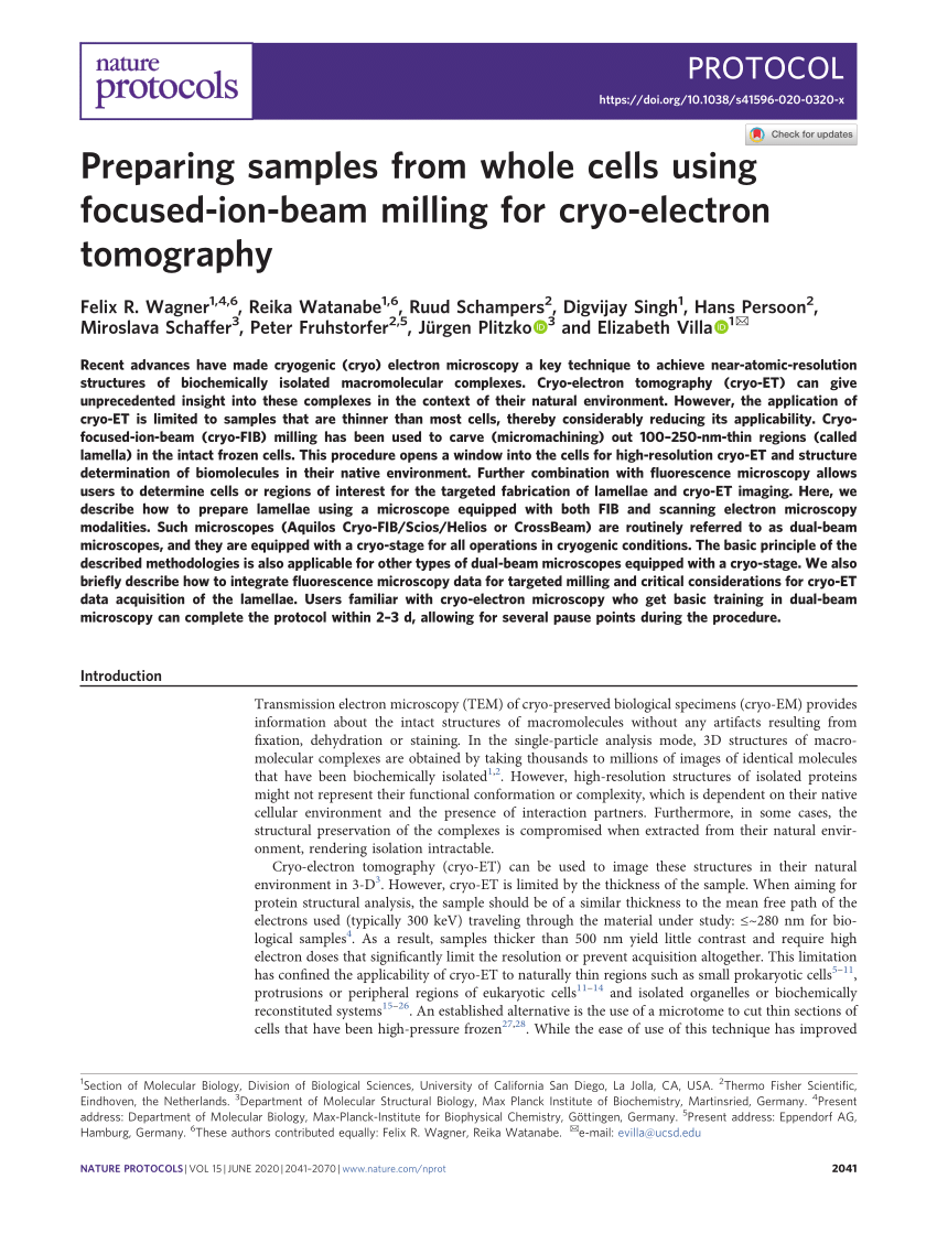 PDF) Preparing samples from whole cells using focused-ion-beam ...