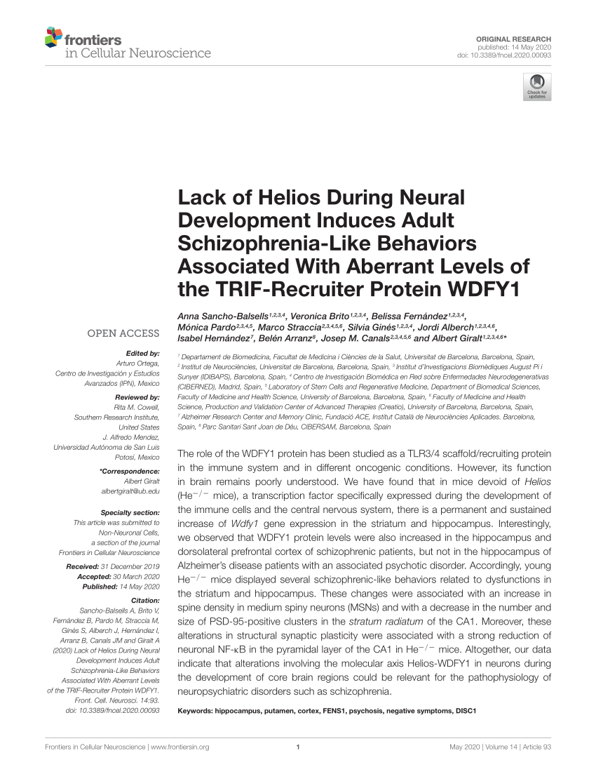 PDF) Lack of Helios During Neural Development Induces Adult ...