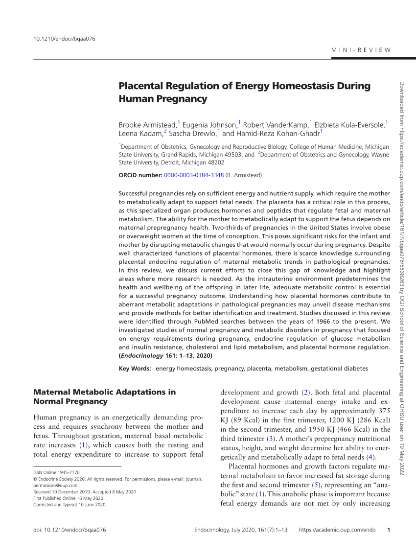 Pdf Placental Regulation Of Energy Homeostasis During Human Pregnancy 8954