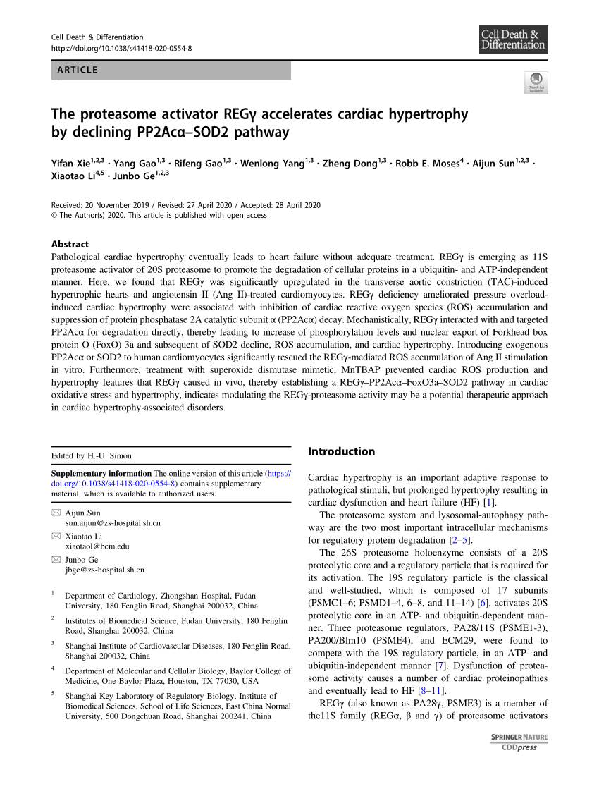hypertrophy execution mastery pdf