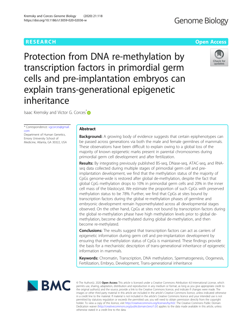 Pdf Protection From Dna Re Methylation By Transcription Factors In Primordial Germ Cells And Pre Implantation Embryos Can Explain Trans Generational Epigenetic Inheritance