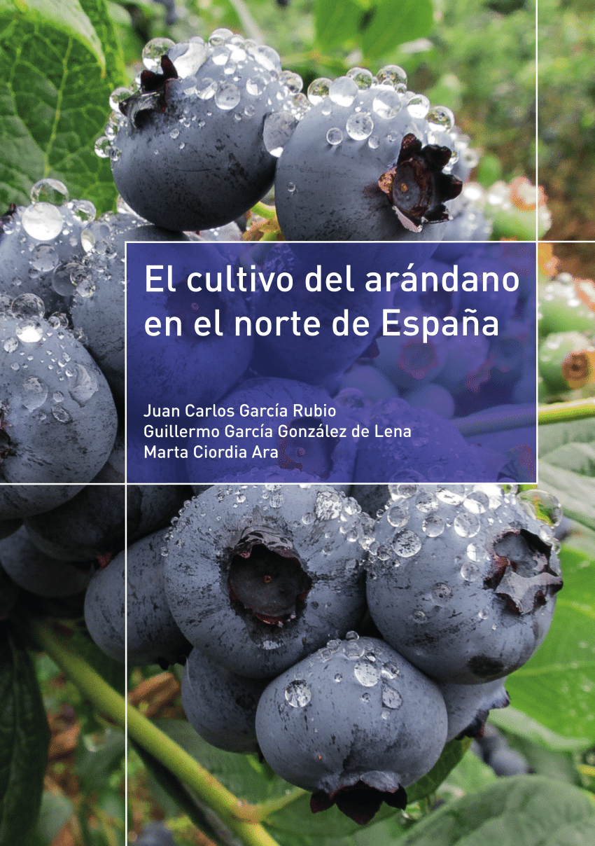 Pdf El Cultivo Del Arándano En El Norte De España 4850