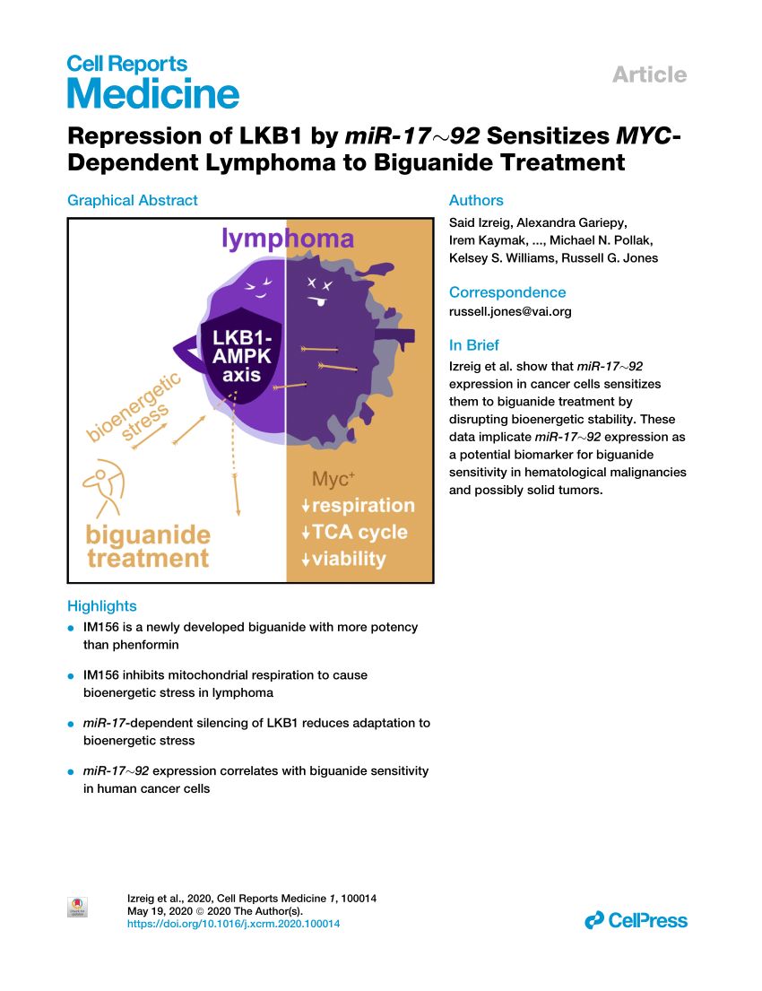 Pdf Repression Of Lkb1 By Mir 17 92 Sensitizes Myc Dependent Lymphoma To Biguanide Treatment